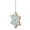 Frosted Snowflake Cookie Christmas Ornament - 3.75" - White and Green